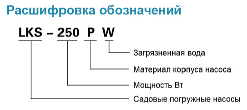 lksw leo rashifrovka