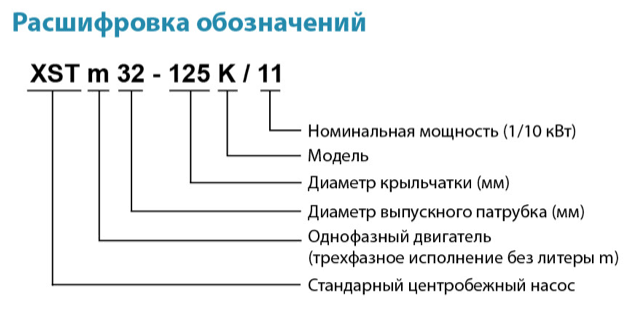 xst leo rashifrovka